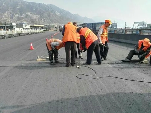 西岗道路桥梁病害治理